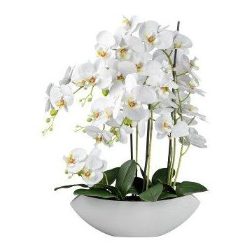 Decorative flower Phalaenopsis orchid XELAV, ceramic bowl, white, 26"/65cm