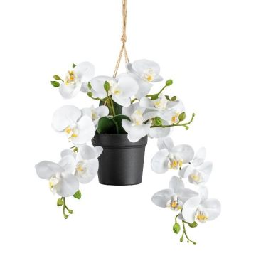 Decorative hanging basket Phalaenopsis orchid LARSAY, decorative pot, white, 10"/25cm