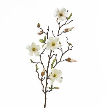 Artificial magnolia LILO, cream, 30"/75cm, Ø 2"-3.5"/5-9cm