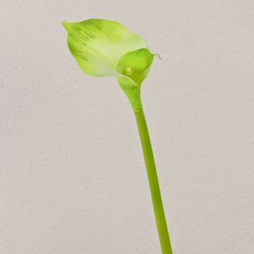 Artificial Calla MARIOLA, green, 31"/80cm, 3.1"x5.9"/8x15cm