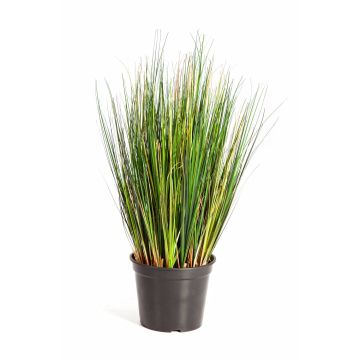 Decorative Foxtail grass FELIX, green, 24"/60cm