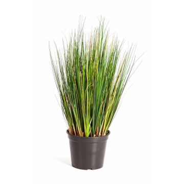 Decorative Foxtail grass FELIX, green, 24"/60cm
