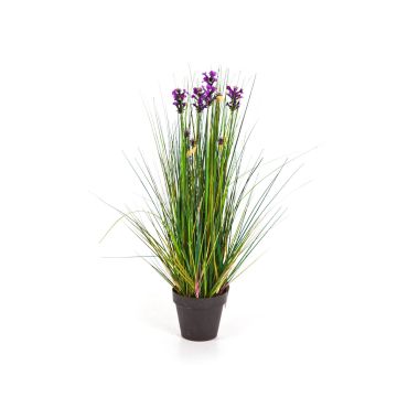 Decorative grass with lavender FREDERICA, purple, 24"/60cm