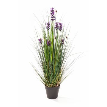 Decorative grass with lavender FREDERICA, purple, 3ft/90cm