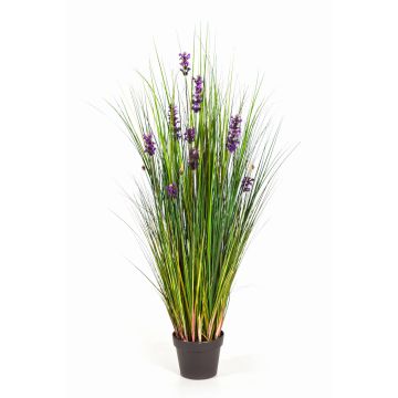 Decorative grass with lavender FREDERICA, purple, 4ft/120cm