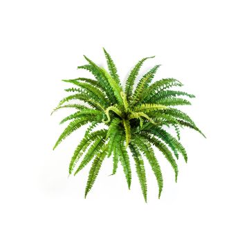 Artificial plant lady fern LEAN on spike, green, 22"/55cm, Ø 28"/70cm