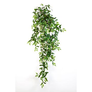 Fake plant Tradescantia Fluminensis AURELIE, spike, green, 4ft/125cm