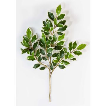 Artificial Ficus Benjamini branch AJITH, green-white, 18"/45cm