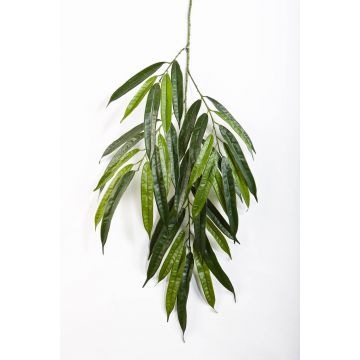 Decorative longifolia branch NILAY, 26"/65cm