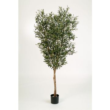 Artificial Olive tree PHILIPOS, real trunks, with fruits, 4ft/120cm