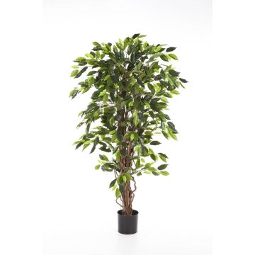 Decorative Ficus Benjamini JARLAN, real stems, green, 4ft/120cm