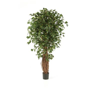 Artificial Ficus Benjamini LUCIUS, real stems, green, 4ft/120cm