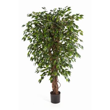 Fake plant Ficus Benjamini DAKU, natural trunks, green, 4ft/120cm