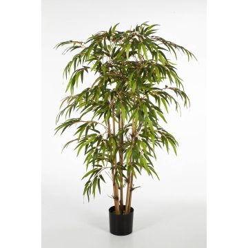 Decorative Bamboo Plant HIROSHI, Natural Bamboo stems, 3ft/90cm