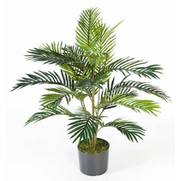 Decorative palm Areca JENNICA, 3ft/90cm