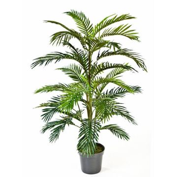 Decorative palm Areca JENNICA, 4ft/120cm