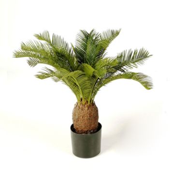 Artificial Cycas palm MATTHEW, 26"/65cm