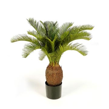 Artificial Cycas palm MATTHEW, 28"/70cm