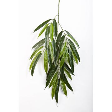 Decorative longifolia branch NILAY, flame retardant, 26"/65cm