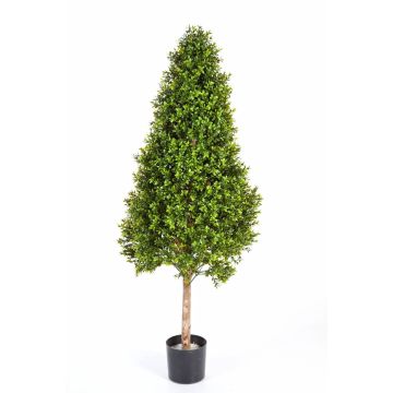 Artificial boxwood cone TOM, real trunk, 3ft/105cm