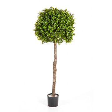 Artificial boxwood TOM, natural trunk, 3ft/105cm, Ø 16"/40cm