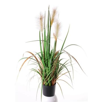 Decorative reed grass EYOTA with panicles, green-brown, 31"/80cm