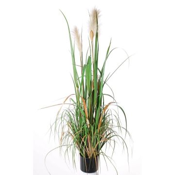 Decorative reed grass EYOTA with panicles, green-brown, 4ft/120cm
