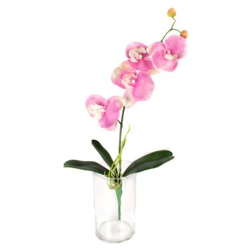 Decorative Phalaenopsis orchid MADOU, spike, light pink, 16"/40cm
