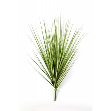 Decorative sedge grass NATE on spike, green, 24"/60cm
