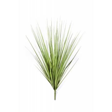 Decorative sedge grass NATE on spike, green, 3ft/100cm
