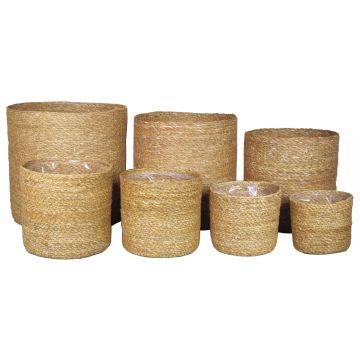 Seagrass basket AMPARO, 7 pieces, beige, 4.7"-12"/12-30cm, Ø5.1"-13"/13-32cm