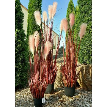 Plastic pampas grass WERNHILD with panicles, in decorative pot, red-brown, 4ft/120cm