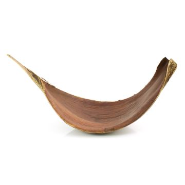 XXL coconut leaf CHIPUNA, brown, 12"-31"/30-80cm XXL coconut leaf CHIPUNA, brown, 12"-31"/30-80cm