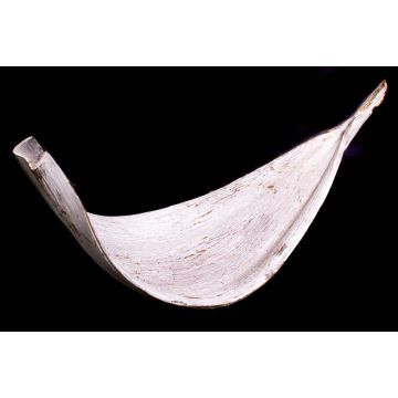 XXL coconut leaf CHIPUNA, whitewashed, 12"-31"/30-80 cm XXL coconut leaf CHIPUNA, whitewashed, 12"-31"/30-80 cm