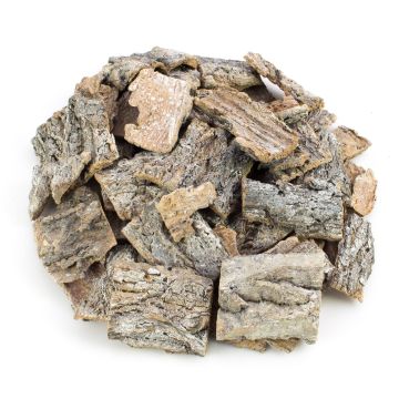 Bark pieces RANDY, white limed, 2.4"x2.8"/6x7cm