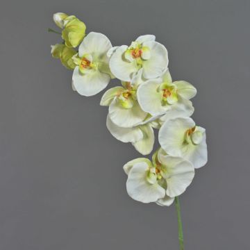 Artificial flower branch Phalaenopsis orchid WESA, white-green, 3ft/100cm