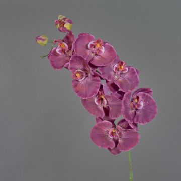 Artificial flower branch Phalaenopsis orchid WESA, dark violet-white, 3ft/100cm