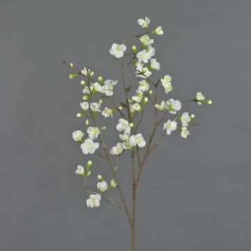 Decorative apple blossom branch SADAKA with blossoms, cream, 3ft/100cm