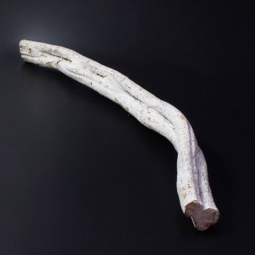 Natural decoration Cipo Rosca Liana MALINDI, dried, white, 28"/70cm, Ø 3.1"/8cm Natural decoration Cipo Rosca Liana MALINDI, dried, white, 28"/70cm, Ø 3.1"/8cm