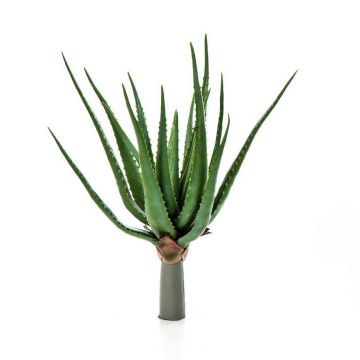 Decorative Aloe Vera ALEYNA on spike, green, 20"/50cm, Ø 16"/40cm