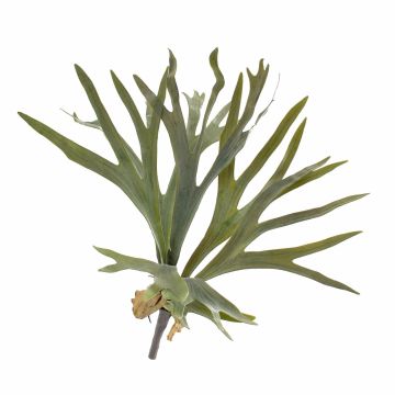 Decorative Staghorn fern GEORGE on spike, green, 16"/40cm, Ø 20"/50cm