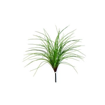 Decorative reed grass ELIAS on spike, green, 22"/55cm