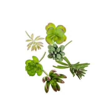 Decorative succulents JADON, spike, 6 pieces, green, 5"/13cm, Ø 2"/5cm