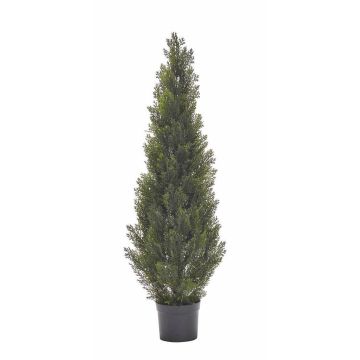 Decorative cedar EDELA, crossdoor, green, 4ft/120cm