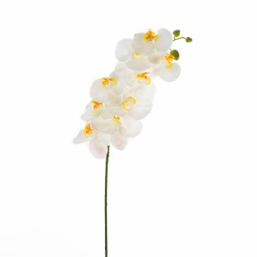 Textile branch Phalaenopsis orchid OPHELIA, white, 3ft/100cm
