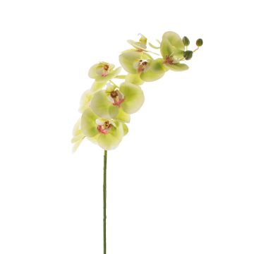 Textile branch Phalaenopsis orchid OPHELIA, green-pink, 3ft/100cm