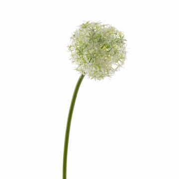Plastic Allium SAMARA, cream, 30"/75cm, Ø 4.7"/12cm