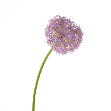Plastic Allium SAMARA, purple, 30"/75cm, Ø 4.7"/12cm