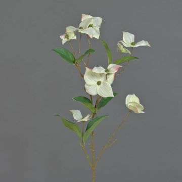 Artificial Japanese dogwood branch KOHANA, flowering, cream, 28"/70cm