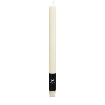 Dinner candle / Tapered candle AURORA, ivory, 11"/27cm, Ø0.9"/2,2cm, 10h - Made in Germany